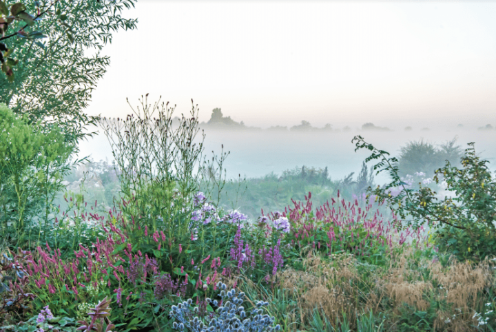 De tuin ontwaakt Friesland Post