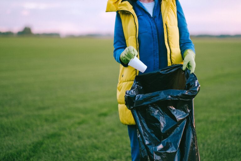 World cleanup day friesland