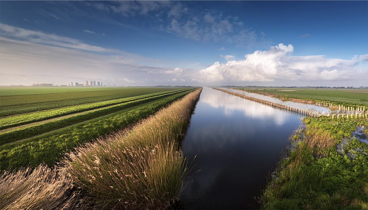 Fryslân in 2050